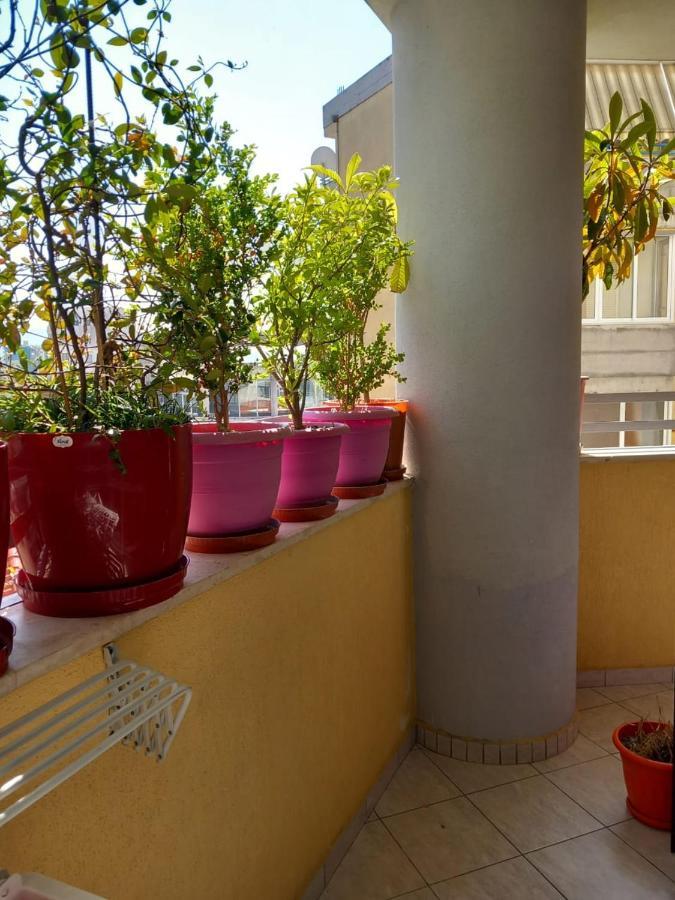 Holiday Center Apartment Shkodër Екстериор снимка
